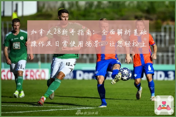 加拿大28新手指南：全面解析基础操作及日常使用场景，让您轻松上手