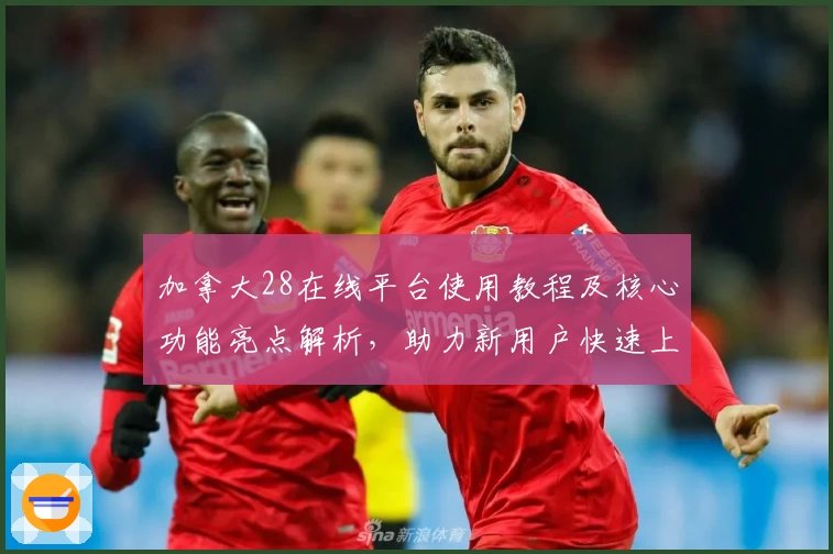 加拿大28在线平台使用教程及核心功能亮点解析，助力新用户快速上手