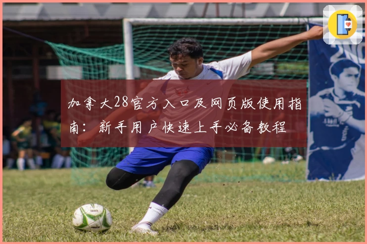 加拿大28官方入口及网页版使用指南：新手用户快速上手必备教程