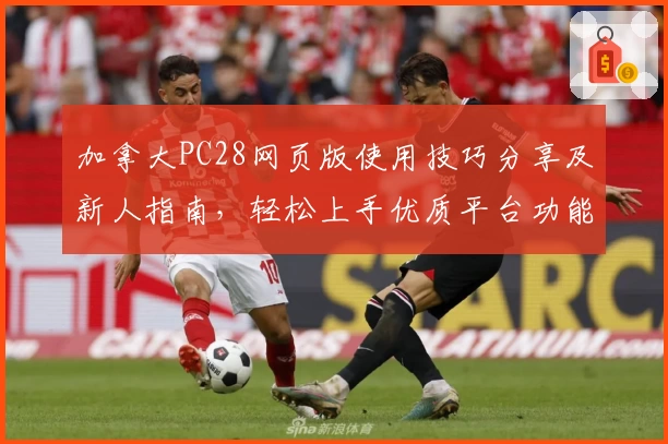 加拿大PC28网页版使用技巧分享及新人指南，轻松上手优质平台功能体验