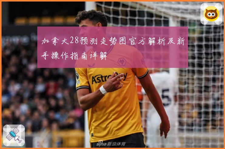 加拿大28预测走势图官方解析及新手操作指南详解