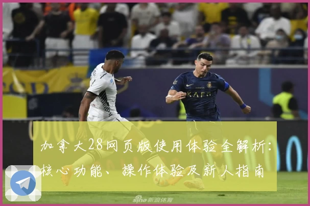 加拿大28网页版使用体验全解析:核心功能、操作体验及新人指南