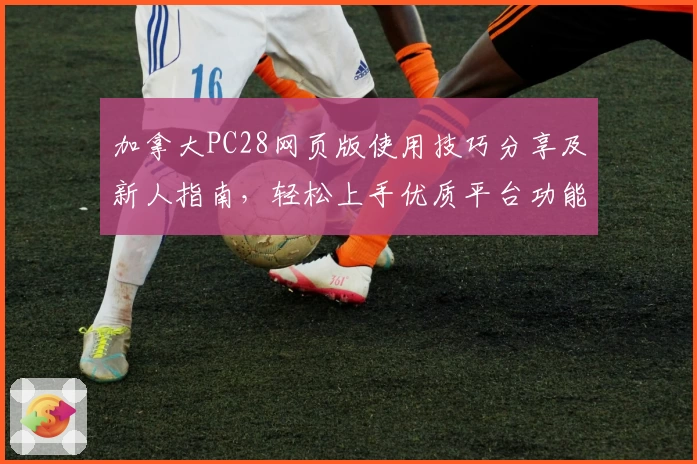 加拿大PC28网页版使用技巧分享及新人指南，轻松上手优质平台功能体验