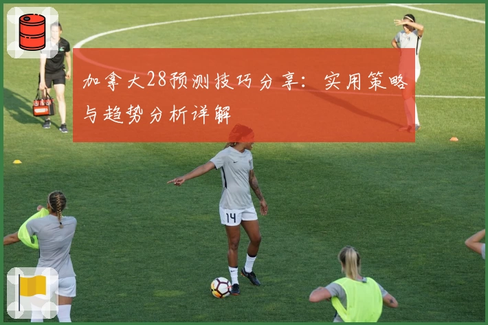 加拿大28预测技巧分享：实用策略与趋势分析详解