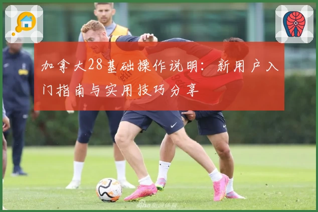 加拿大28基础操作说明：新用户入门指南与实用技巧分享